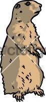 Prairie DogFreehand Image